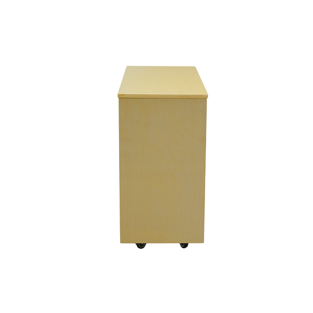 5 Section Resource Shelf (Ready Mid-October 2025)