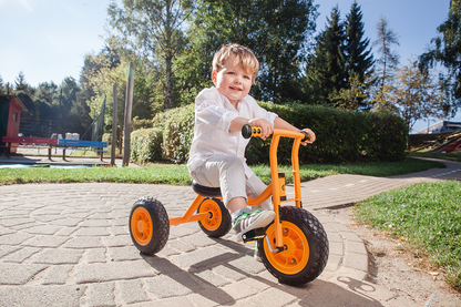 Small Trike