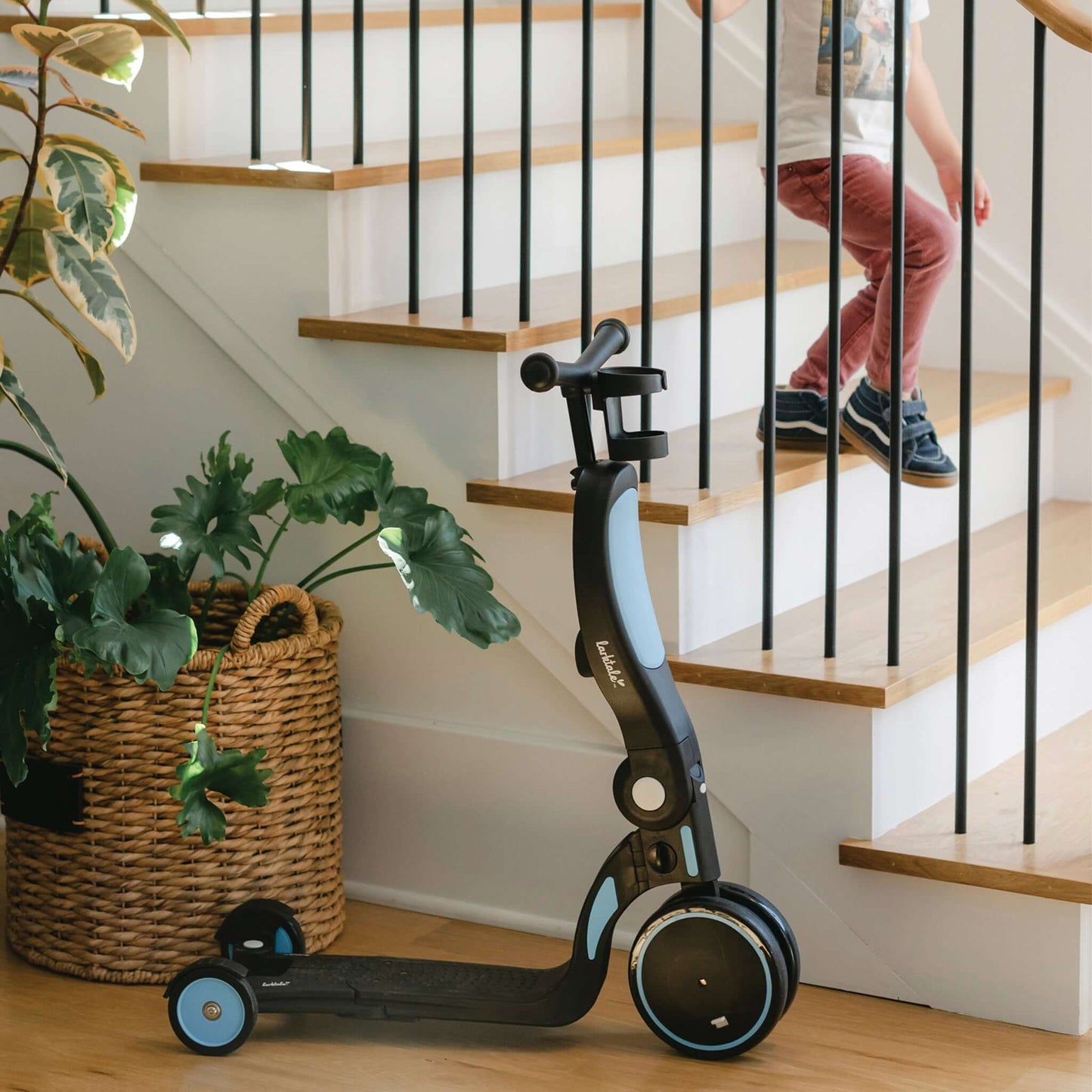 Larktale Scoobi® 5-in-1 Convertible Scooter, Tricycle & Balance Bike